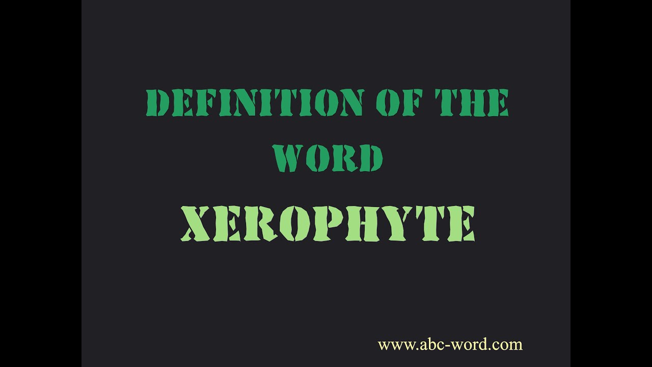 Definition of the word "Xerophyte"