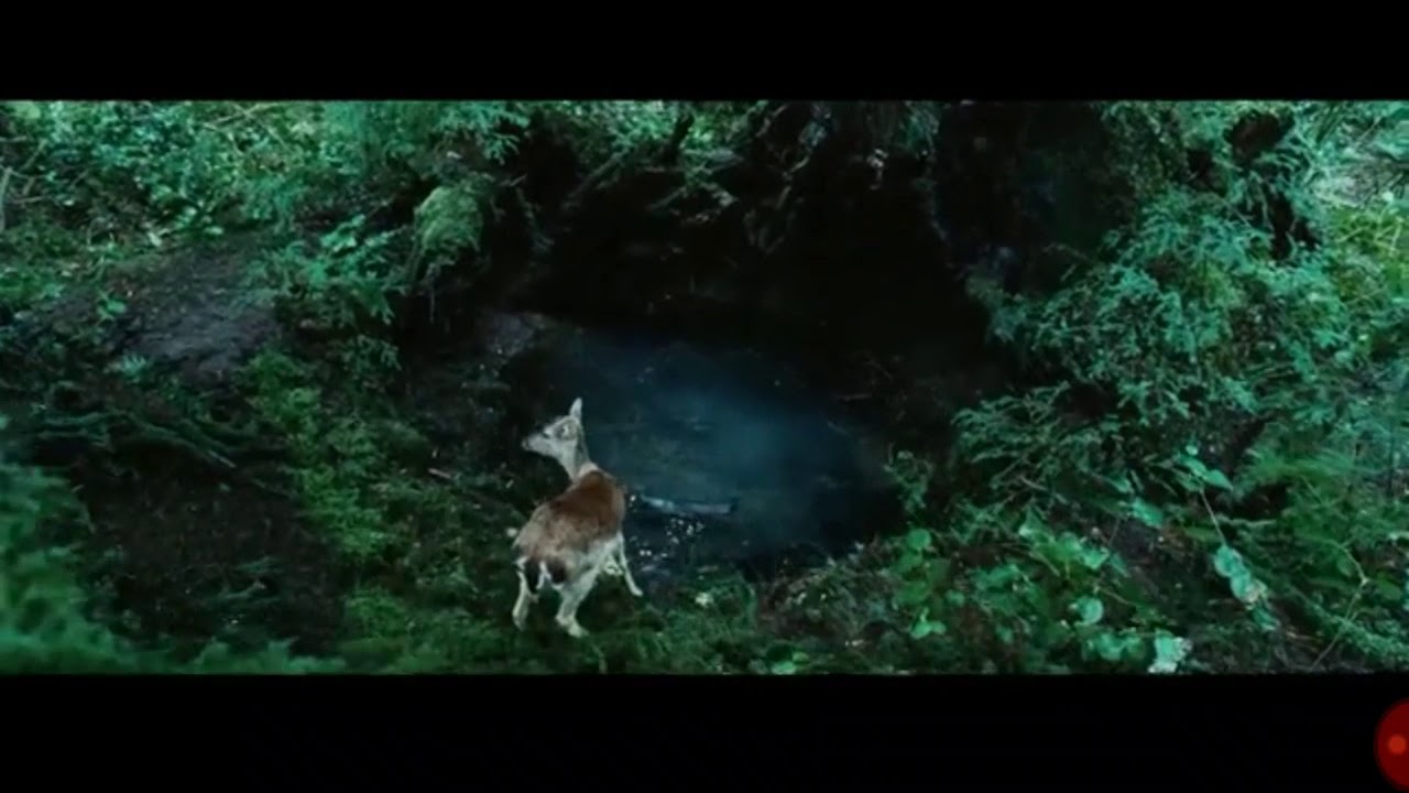 Crepúsculo película completa español latino parte1