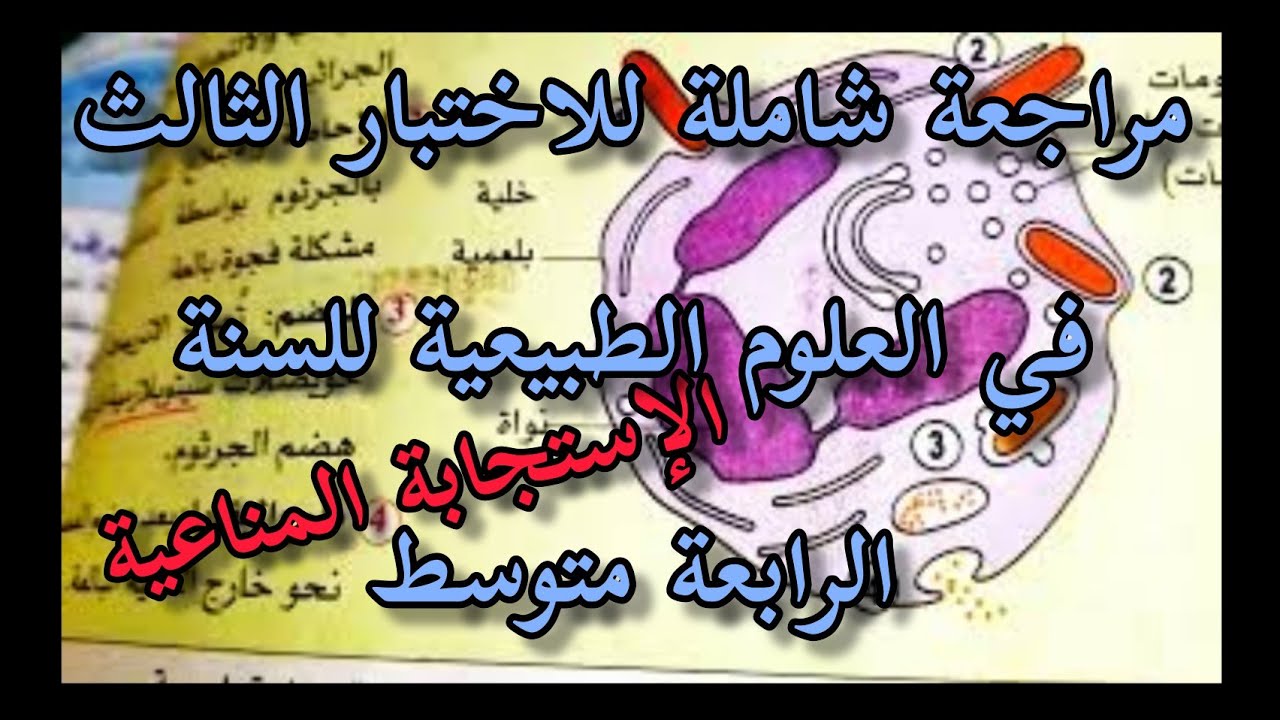 مراجعة شاملة للفصل  الثالث للاختبار في العلوم الطبيعية للسنة الرابعة متوسط-ملخص الإستجابة المناعية