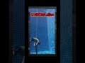格闘技の練習は水中でもww【おもしろ動画】【面白い】【面白い動画】