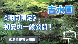 【吉水園】《期間限定》初夏の一般公開！モリアオガエルが見られる！？