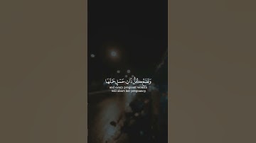 اكتب شيئا تؤجر عليه...🤍 #قرآن #المصحف #تلاوة_خاشعة #holyquran #quran #islamic #islam