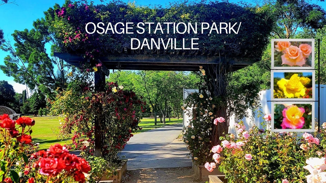 Osage Station Park/ Rose Garden/ Danville YouTube