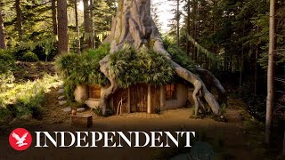 Take a look inside Shrek's swamp now available to rent on Airbnb