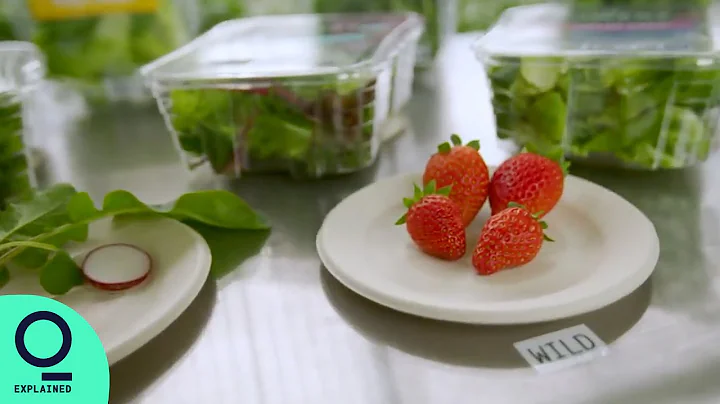 Vertical Farm Expands From Greens to Building Better Berries