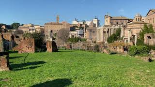 2019-20 Italy - Rome - Colosseum - IMG 2741