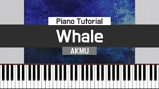 Whale (고래) - AKMU (악동뮤지션) 피아노 튜토리얼