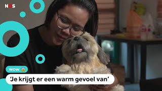 Een Namaakknuffel Van Je Overleden Huisdier