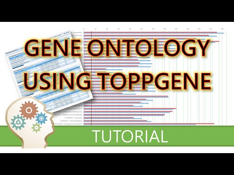 GENE ONTOLOGY using TOPPGENE - Free tutorial