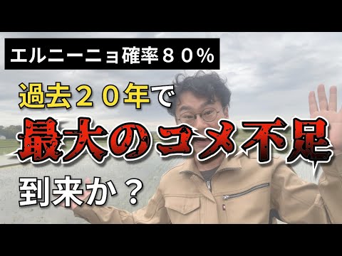 エルニーニョ確率８０% 過去２０年で最大のコメ不足到来か？