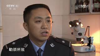 《撒贝宁时间》 20150611 不能逾越的红线