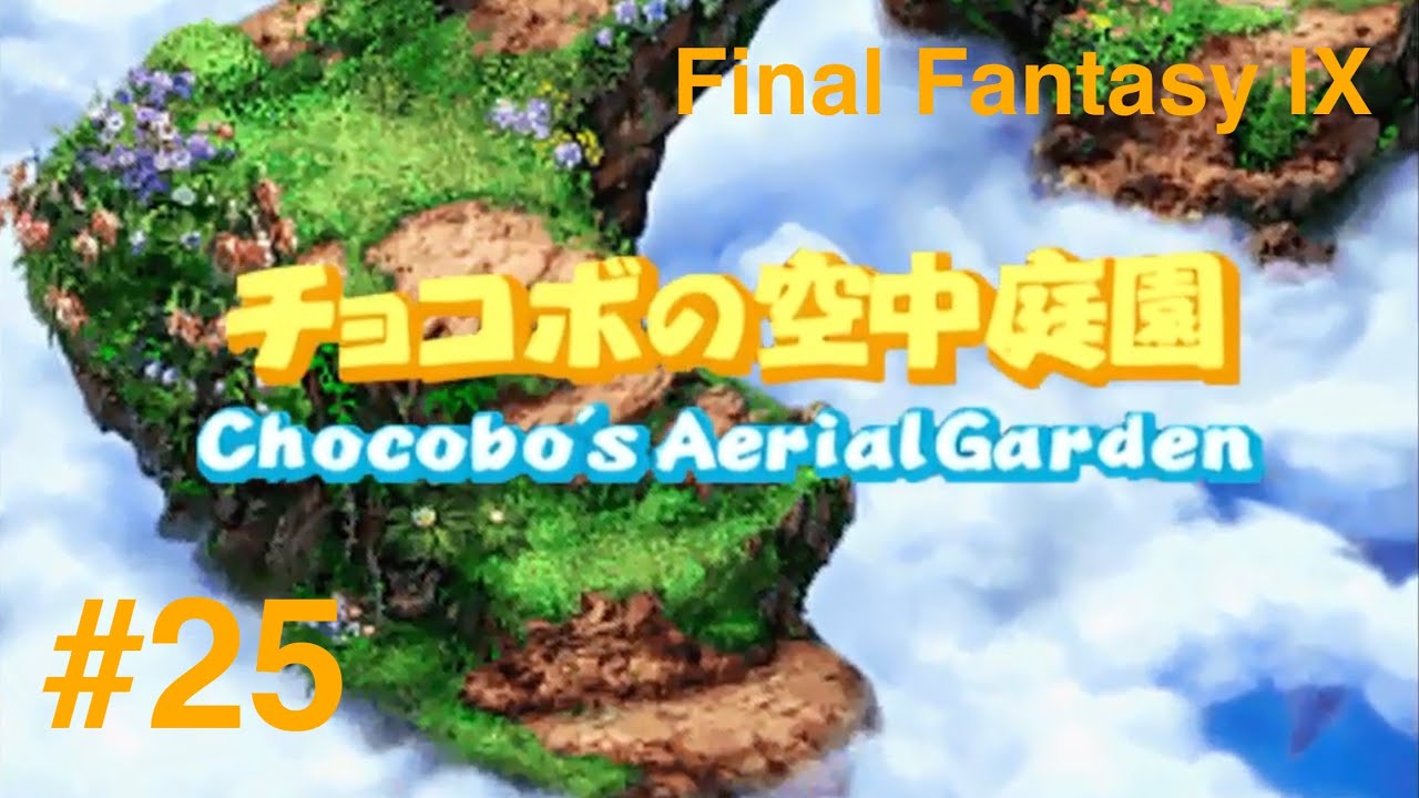 Ff9 Ps4 25 耐久 チョコグラフ全部集める Final Fantasy Ix 25 All Chocographs ファイナルファンタジー Ix Youtube