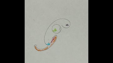 The Problems of Philosophy by Bertrand Russell  Chapter Six, On Induction.