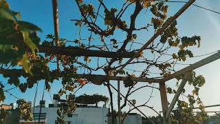 Sunset Down | A #ShotByMi Film | Xiaomi Redmi Note 9 Pro #Cinematic #XiaomiStudios #ShortFilm
