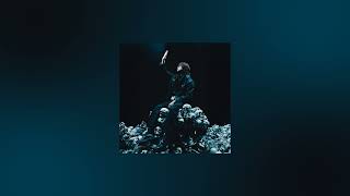 skin and bones - david kushner (slowed - reverb)