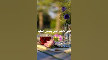 | قرآن كريم راحة نفسية | 🤎🫶🏻 اللهم انصر اهلنا في فلسطين وغزة 🇵🇸🫀 #فلسطين_حرة #قرآن #راحة_نفسيه