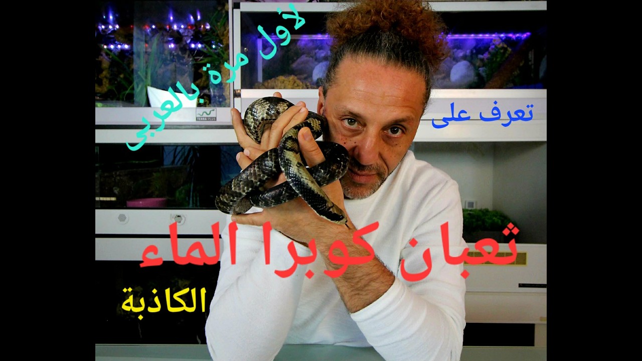 أخيرا  وجها  لوجه  مع حاكم  المياة العملاق  ☝️ False water cobra 🔥🇭🇺