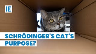 What does Schrödinger's Cat explain to us?