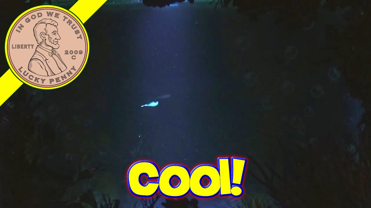 Aqua Dragons Deep Sea Habitat (Update - Final Day)......One Little Aqua ...