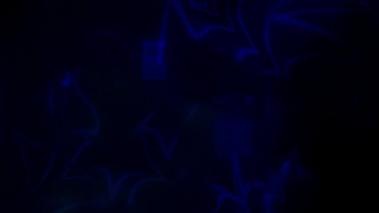 CactusTeam - serenity auf YouTube ansehen CactusTeam - serenity auf YouTube ansehen