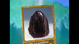 Visiting The Amber Museum Bz Mytravel.express-Others