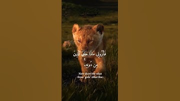 هذا خلق الله #سورة_لقمان #قران #صوت_جميل #تلاوة_خاشعة#تلاوة_مميزة