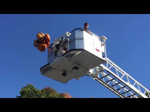 Clarion Area Elementary School Egg Drop