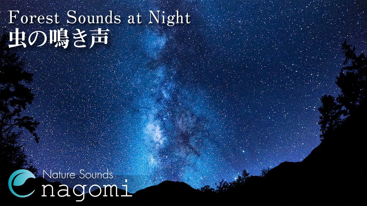 【ASMR自然音】星空と虫の鳴き声 Nature Sounds｜勉強・睡眠・作業用BGM｜集中｜睡眠導入・快眠｜夜の虫の声でリラックス