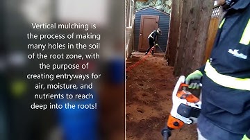 Vertical Mulching