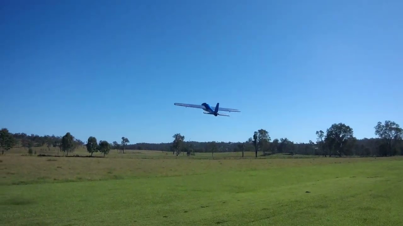 Three Lidl Aldi Trainer Flights