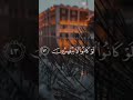 صوت هادئ مع كلمات من القرآن القوية وتحمل معانى قوية 😌😌 #subscribe #gogoshow