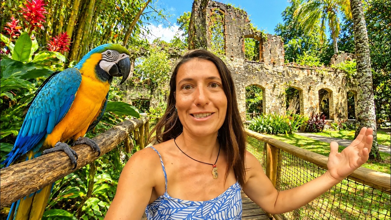 We Visited a ZOO Built Around VOLCANO RUINS! Martinique E402