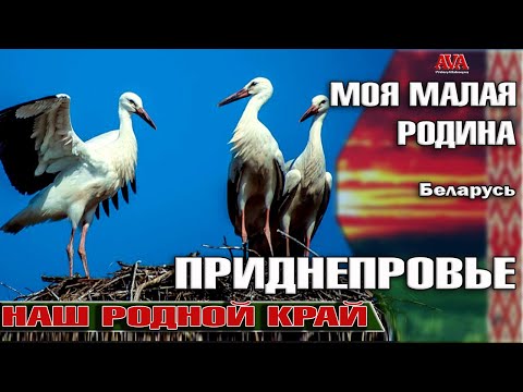 Видео: Моя МАЛАЯ РОДИНА Приднепровье