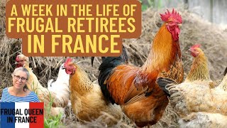 A Week in the Life of Frugal Retirees in France #frugalliving #retirement #garden #upcycle #manure