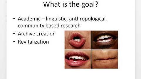 Language Documentation Overview