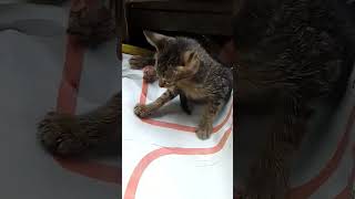 Download Lagu September 20, 2025 MP3