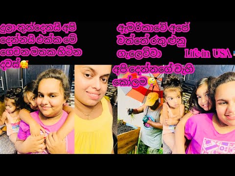 දුලත් එක්ක අපි දෙන්නගේ ඇමරිකාවේ ලස්සන ජීවිතේ🥰American Village Life Style.Life in USA 🇺🇸 