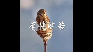 201411 有情皆苦32141
