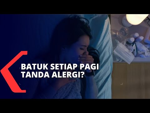 Video: Batuk Paroksismal: Penyebab Serangan Batuk Dan Cara Menghentikannya