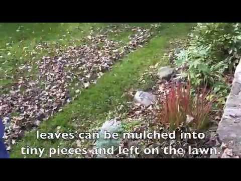 Video: Mulching Lawn Mowers: Ano Ito? Mga Tampok Ng Electric At Petrol Mulching Mowers, Pagraranggo Ng Pinakamahusay Na Mga Modelo Para Sa Damuhan