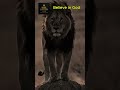 Move Like A Lion You Were Chosen