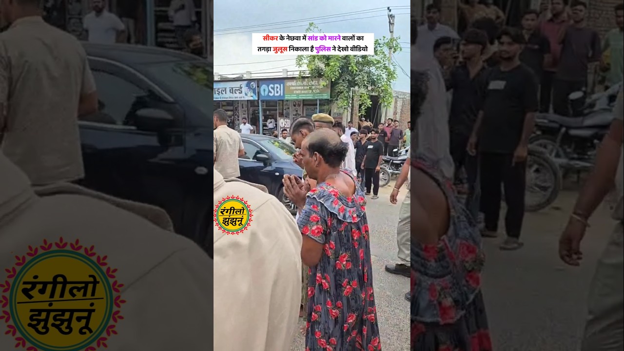 sikar के नेछवा में सांड को मारने वालों का तगड़ा जुलूस sikar nechawa news update । sikar news today