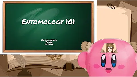 Entomology 101 Lecture on how how insects help solve crimes! Forensic entomology