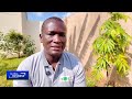 Seaweed harvest creates opportunities at Kenya's coast