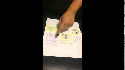 Drew Faiaipau BIO 201 Modeling Project