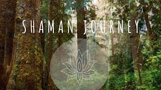 Healing Shaman Forest Journey | Deep Peace Grounding, Connect to the earth | Didgeridoo