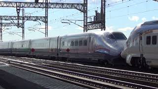 E3系2000番台+E2系1000番台(Magical Dream Shinkansen) やまびこ・つばさ137号 宇都宮入線