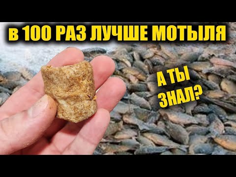 5 минут и 30кг рыбы! От неё дуреет вся рыба! Супер рыболовная насадка для карася и карпа