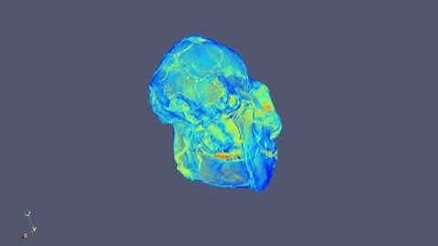 Volume rendering of a tomographic data using Paraview