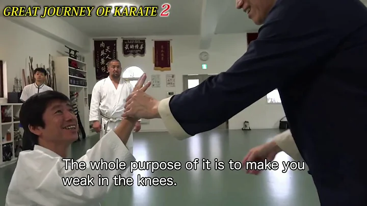 Great Journey of Karate - Tamotsu Miyahira